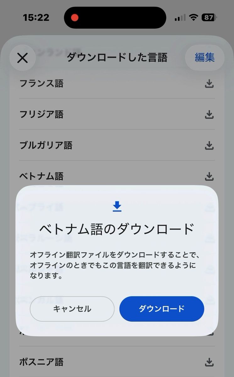 Google翻訳でベトナム語のダウンロードを確認する画面