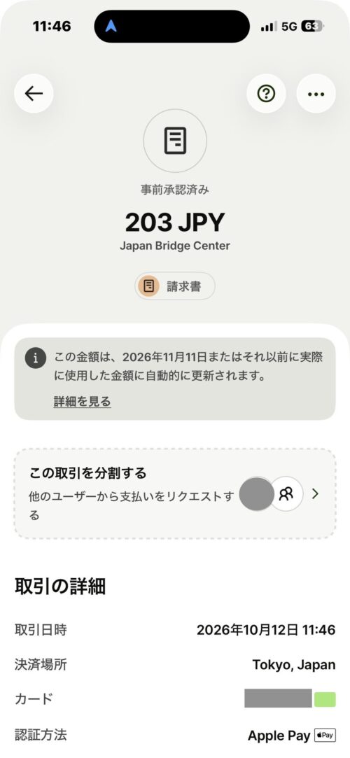 取引の明細。事前承認済み203 JPY、決済場所Tokyo, Japan、認証方法Apple Pay